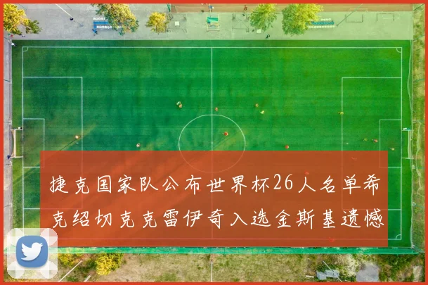 捷克国家队公布世界杯26人名单希克绍切克克雷伊奇入选金斯基遗憾落选