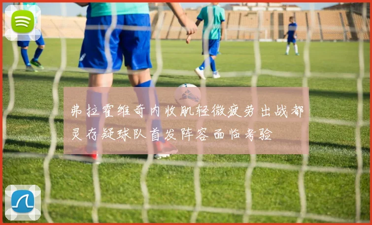 弗拉霍维奇内收肌轻微疲劳出战都灵存疑球队首发阵容面临考验