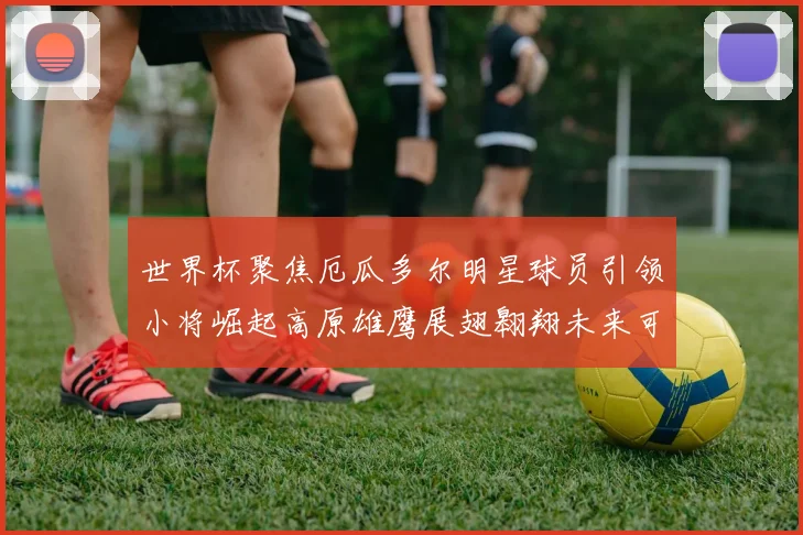 世界杯聚焦厄瓜多尔明星球员引领小将崛起高原雄鹰展翅翱翔未来可期